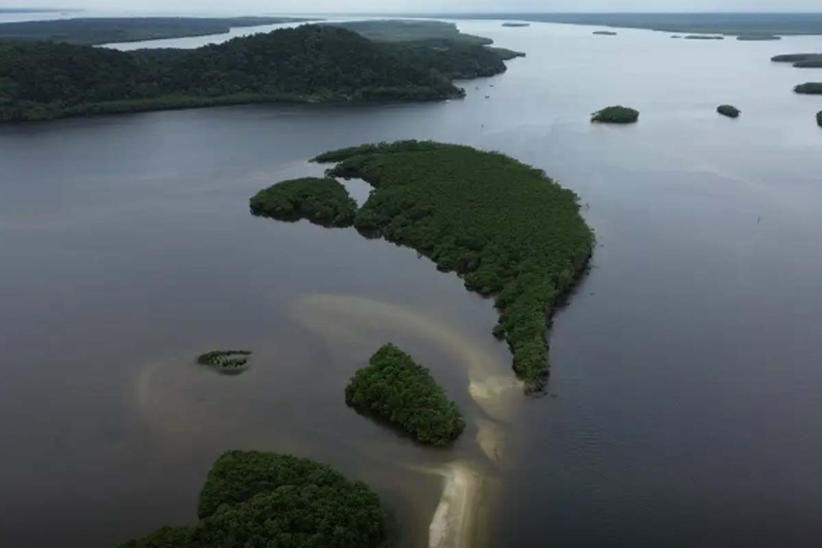 Carbono azul ganha espaço na agenda climática dos oceanos