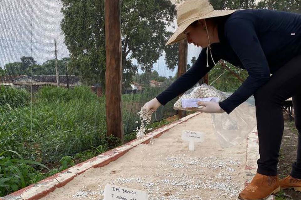 Termo de cooperação consolida parceria do TJRO com a Sedam em premiado projeto ambiental