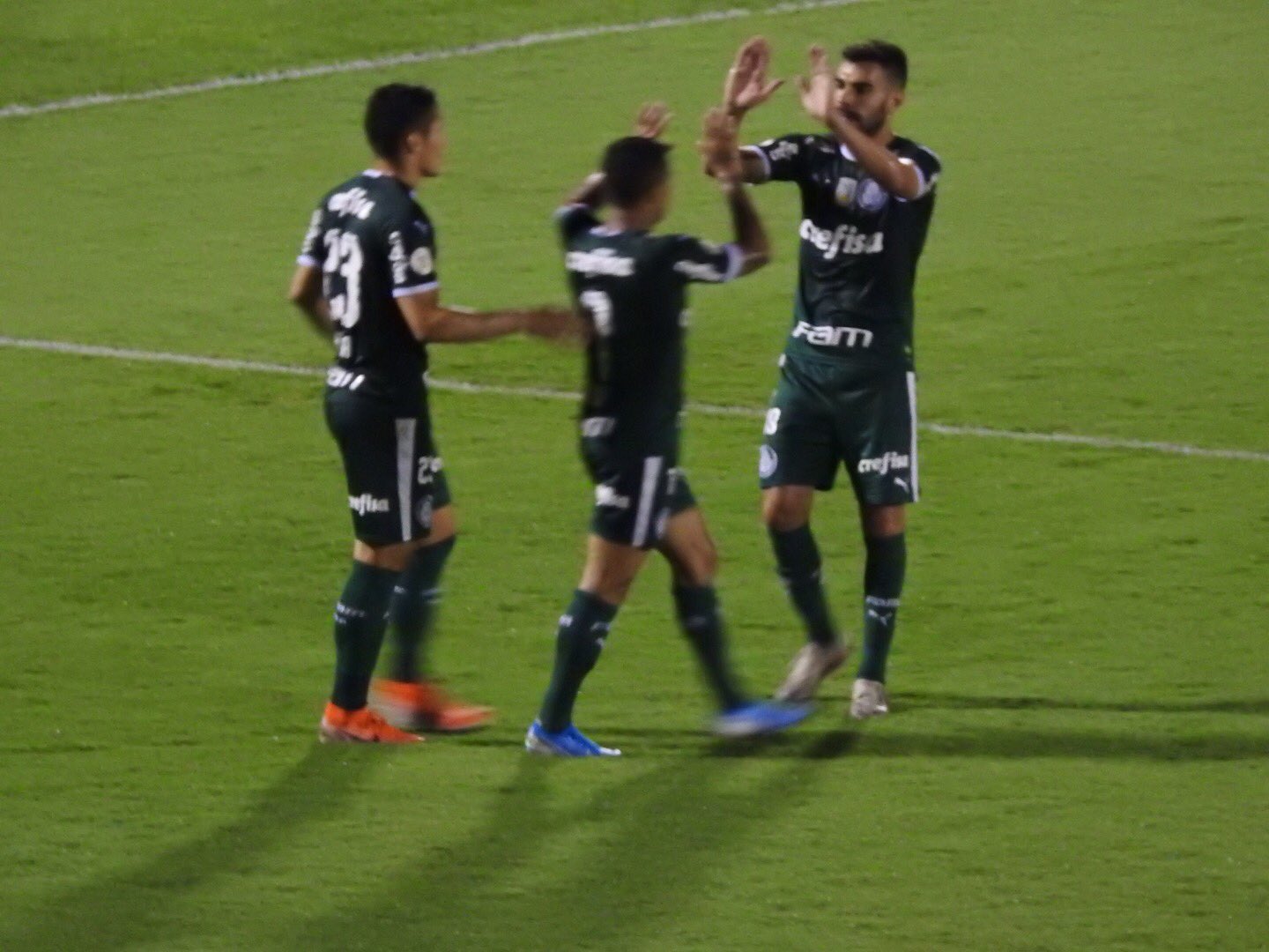Vídeo - Palmeiras 5 x 1 Goiás; Gols e Melhores Momentos