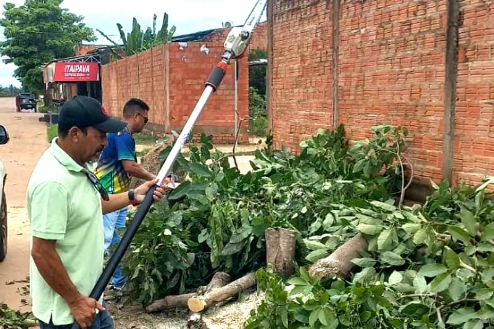 Equipe técnica remove árvore caída e restabelece tráfego no Cristal da Calama