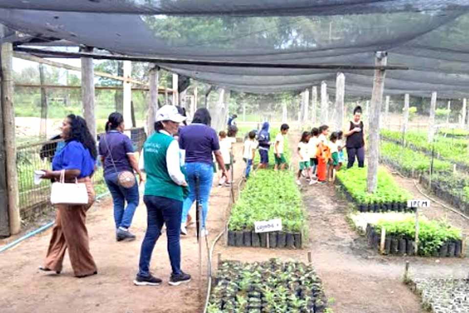 Estudantes da Educação Básica visitam o Viveiro Municipal em Ji-Paraná