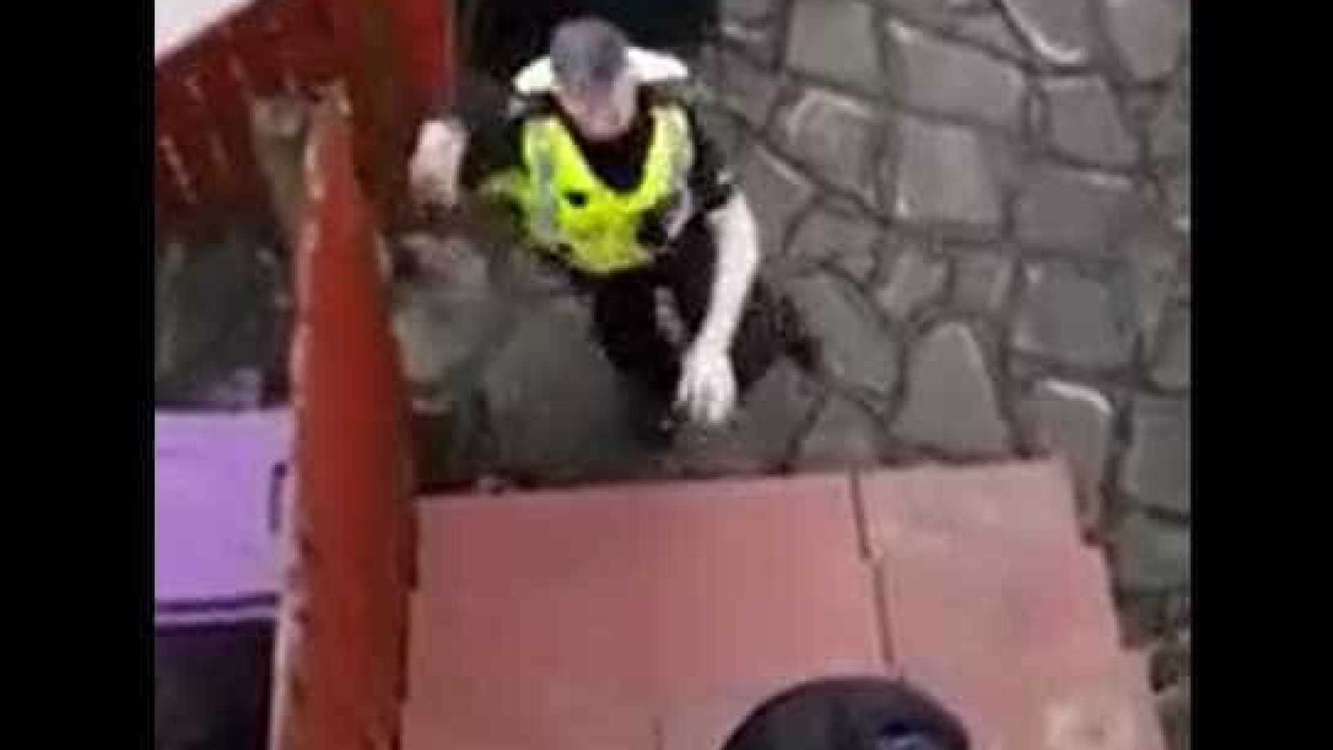 Bandido se da mal ao tentar roubar casa