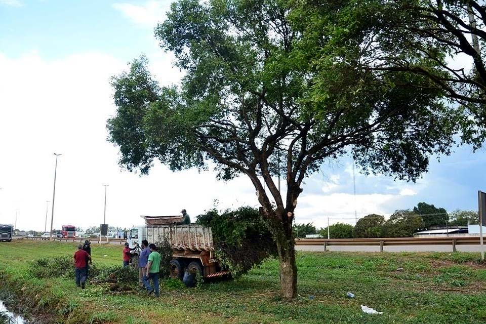 Árvores que ameaçam veículos na BR-364 recebem poda pela Prefeitura 