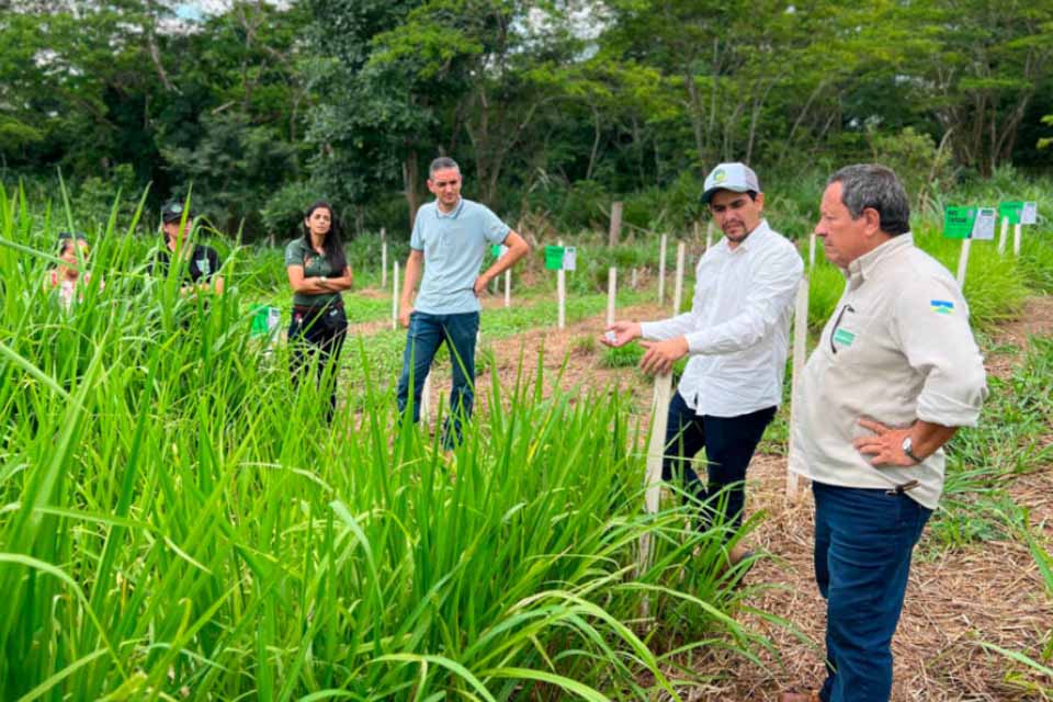 Bovinocultura leiteira é impulsionada em 2025 e transforma a vida de produtores familiares em Rondônia