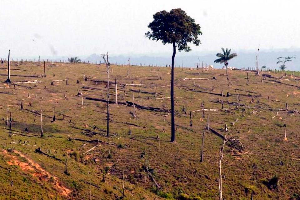 Governo prorroga presença das Forças armadas na Amazônia Legal
