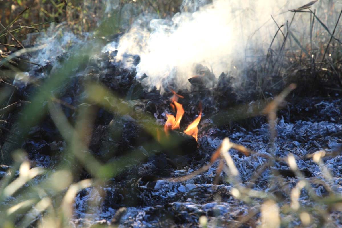 Porto Velho intensifica ações contra às queimadas; dados do Inpe mostram redução de 79,2% nos focos de incêndio entre janeiro e maio de 2026