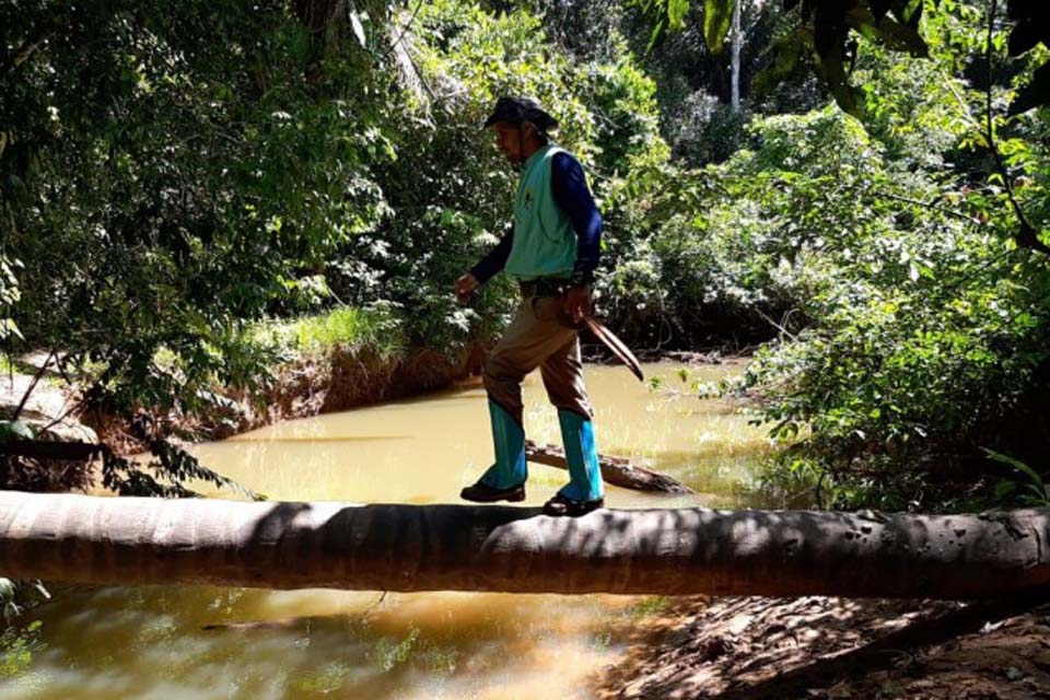 Trilha da Caverna é reativada no Parque Natural de Porto Velho