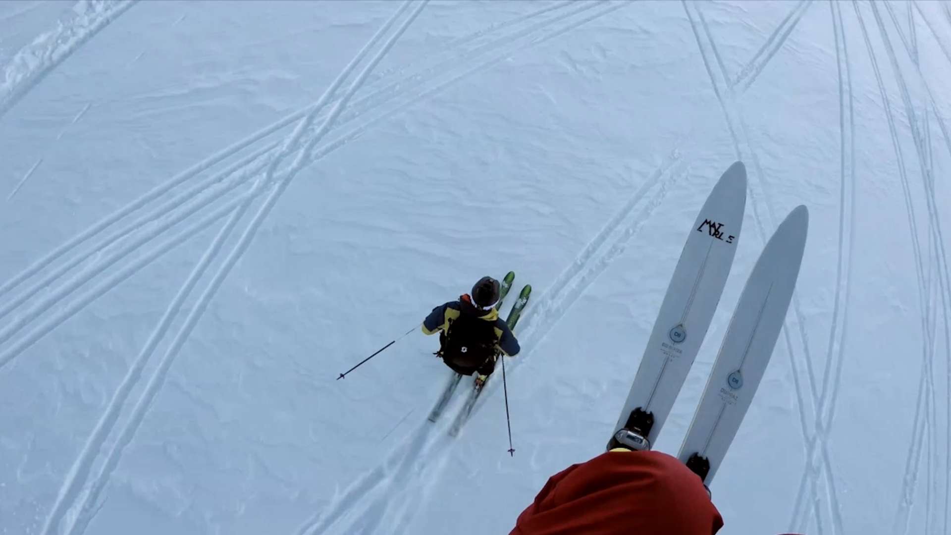 Esquiadores encontram cabra a 3 mil metros de altitude