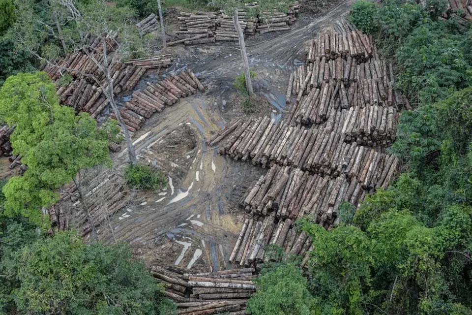 Em Rondônia, desmatador que teria de pagar mais de R$ 18 milhões em indenização é beneficiado com prescrição