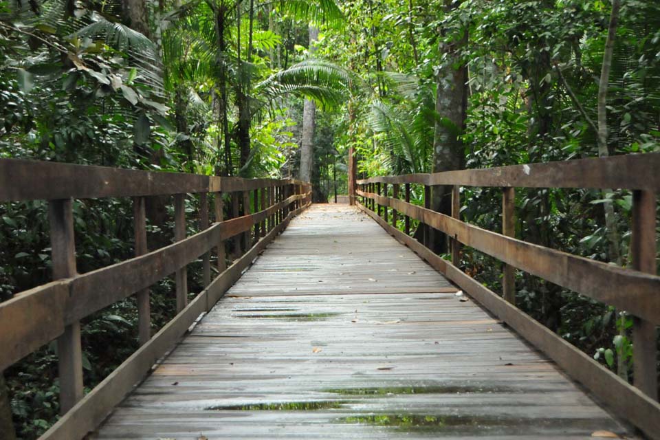 PARQUE NATURAL - Local está aberto para visitação de escolas