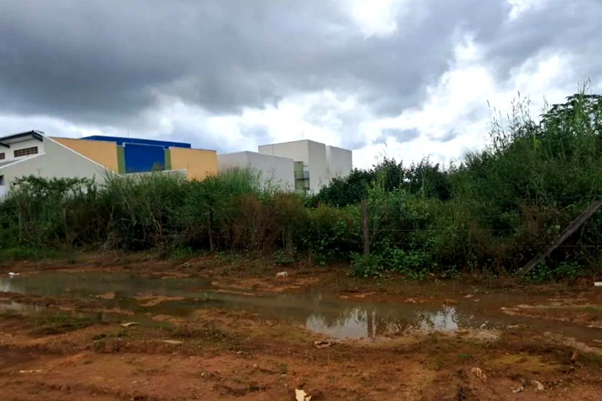 Terrenos bladios e imóveis abandonados geram risco sanitário e urbanístico