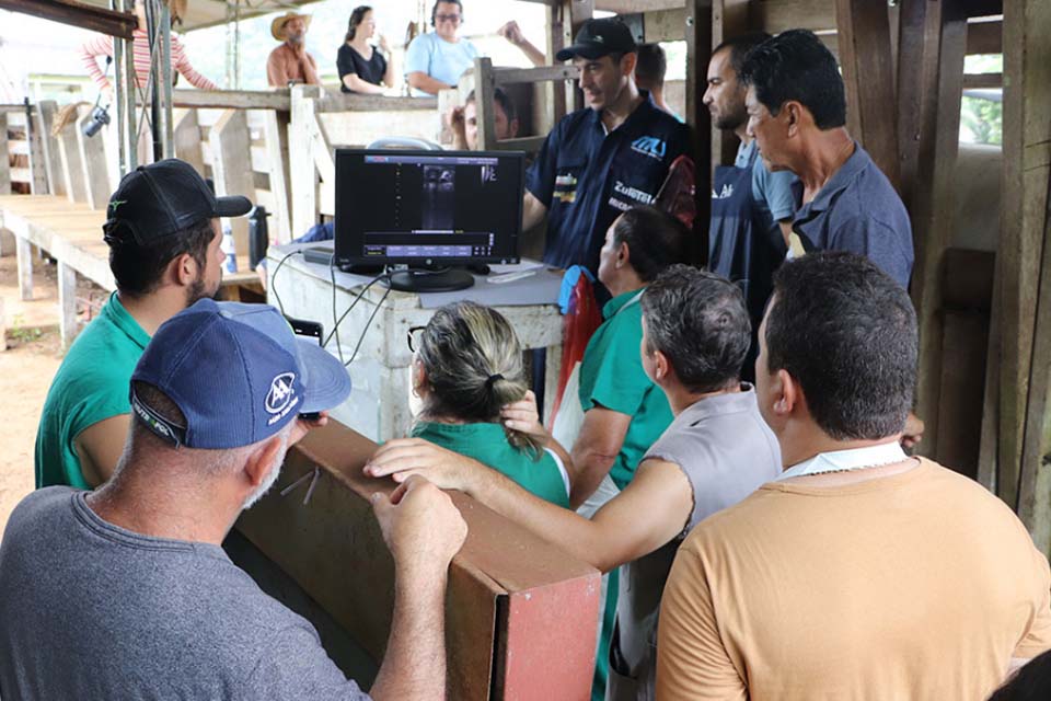 Modernização da produção de leite e eficiência reprodutiva são destacadas em curso de diagnóstico por imagem 
