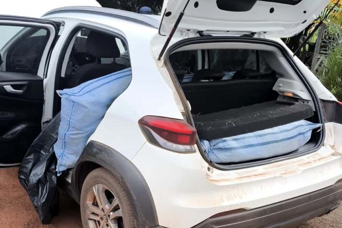 DRACO2, PRF e Polícia Militar apreendem cerca de 180 kg de skunk
