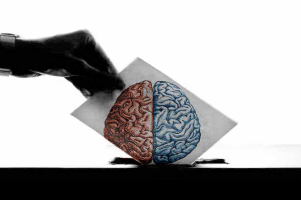 Porque é necessário votar com o cérebro e não com o estômago