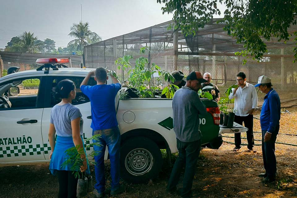 Comarcas do interior aderem à campanha “Adote o futuro”