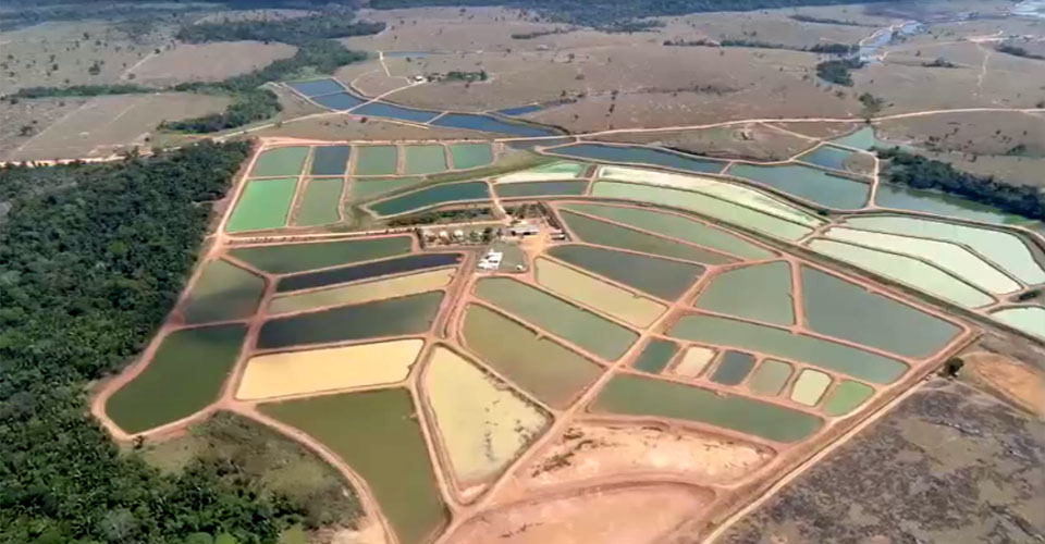 Agrofish Nova Aurora é patrocinadora da Agrolab Amazônia