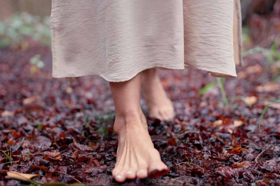 Con(cs)erto de Ferro e Flor estreia em Ji-Paraná com exibição gratuita