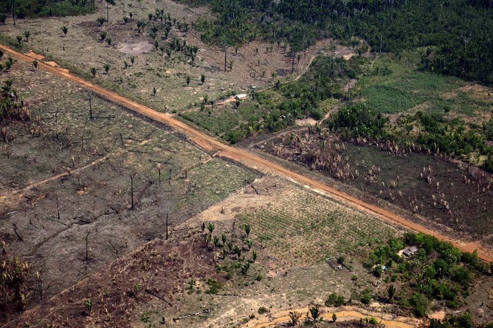 Propriedades sob suspeita de destruir a floresta: Rondônia é o terceiro estado brasileiro com mais crédito negado pelo BNDES