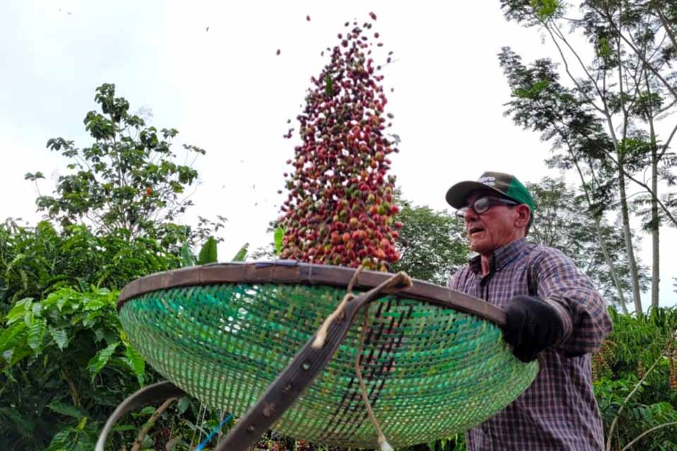 Destaques das ações do governo de 12 a 16 de maio: lançamento da Colheita do Café e auxílio emergencial de R$ 3 mil para atingidos pela enchente