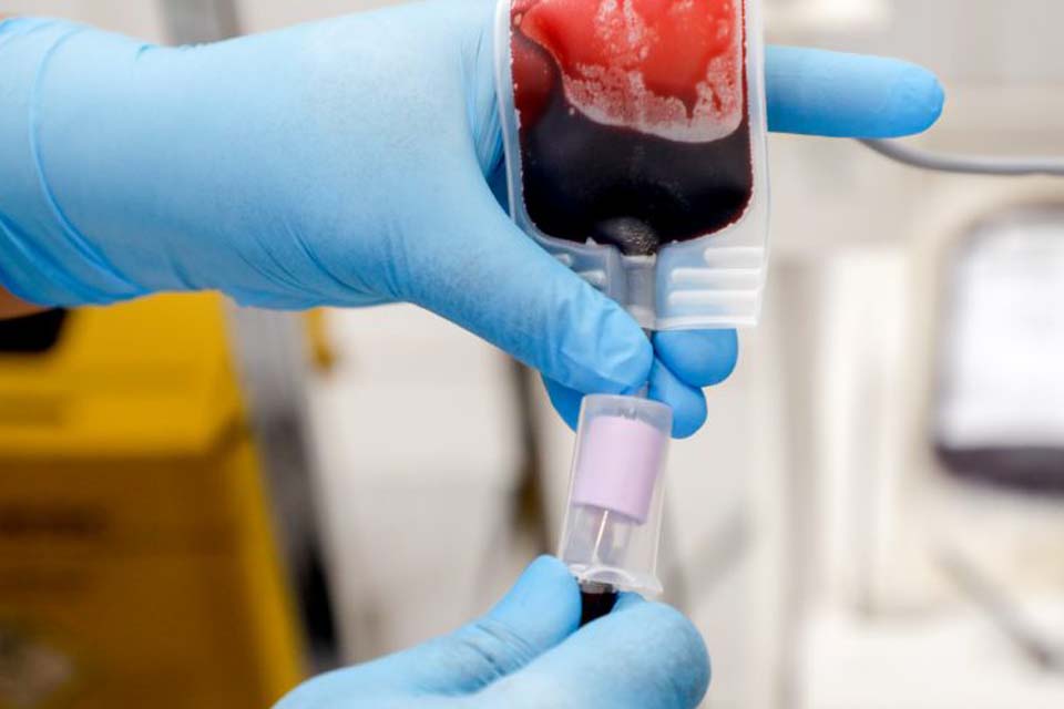 Dia do doador de sangue: Fhemeron ressalta a importância de ajudar ao próximo