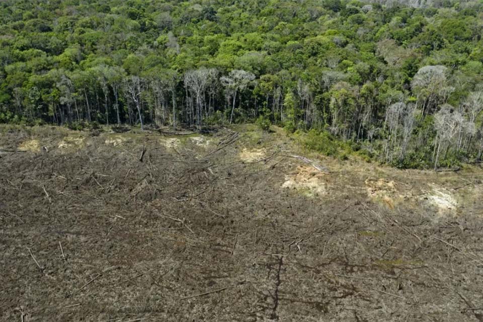 Imazon aponta desmatamento zero em 60% de terras indígenas na Amazônia