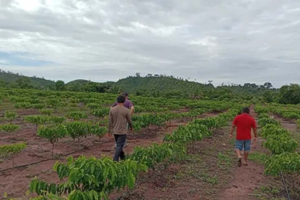 Agricultura Sintrópica: O exemplo que vem da floresta para todo o Estado