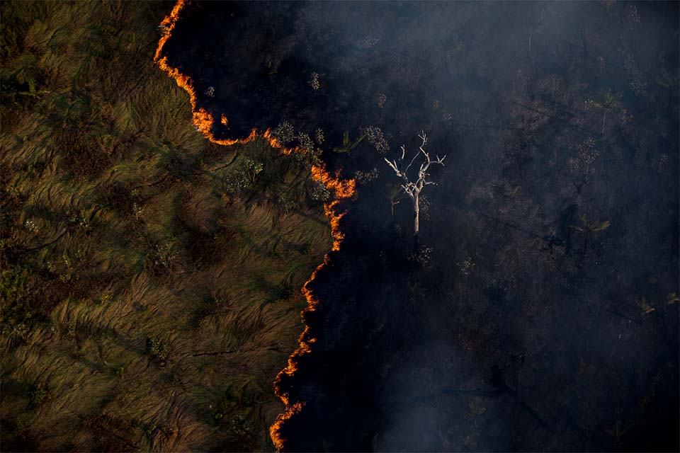 Alertas de desmatamento na Amazônia têm pior outubro da série histórica, aponta Inpe