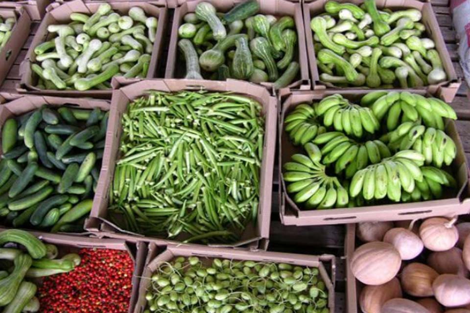 Prefeitura de Jaru abre credenciamento para seleção de feirantes interessados em comercializarem no Feirão do Produtor Rural