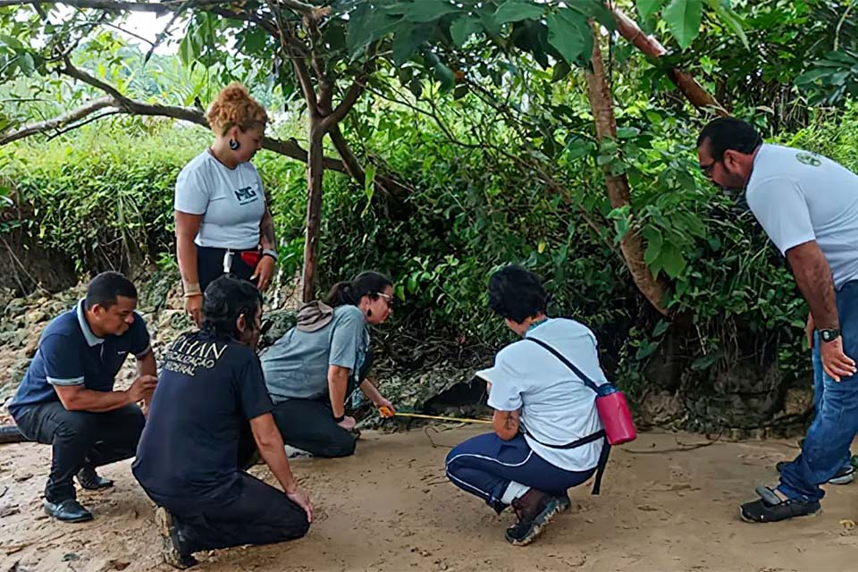 Quatro novos sítios arqueológicos são descobertos em Marajó, no Pará