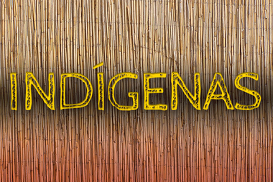 Normativa da Funai que fragiliza proteção de terras indígenas está suspensa em 8 estados da Federação