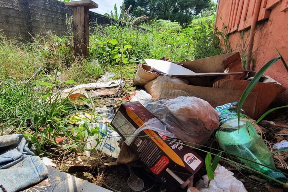Proprietários de quintais com potenciais criadouros do mosquito da Dengue poderão ser notificados e multados