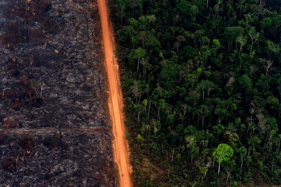 Polícia Ambiental de Rondônia aplica quase R$ 100 milhões em multas em 2019