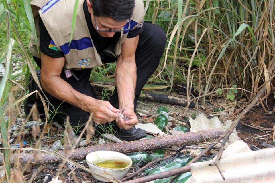 Ações para proteger a população contra dengue são reforçadas pelo governo de RO; importância da vacina é destacada