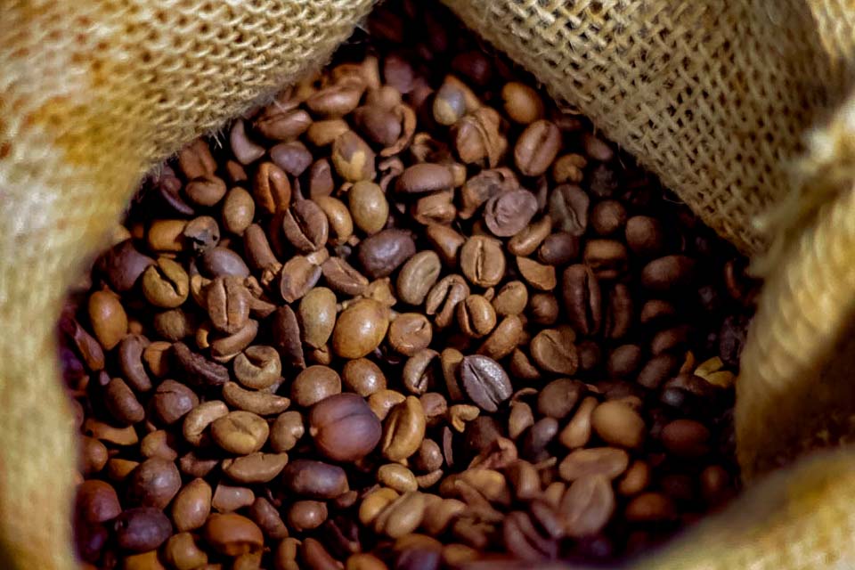 Setor cafeeiro pode ser forçado a redirecionar produção, diz Cepea/USP