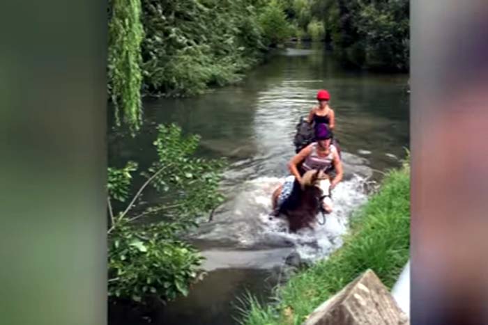 Cavalo se assusta e derruba mulher em lago