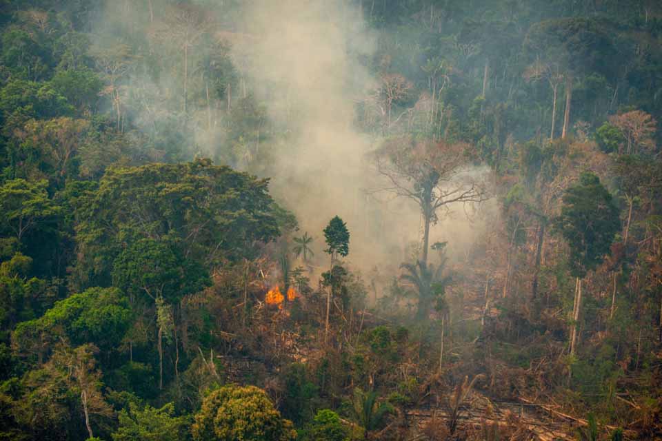 Amazônia registra desflorestamento recorde em abril; Rondônia é o 4º estado que mais desmatou