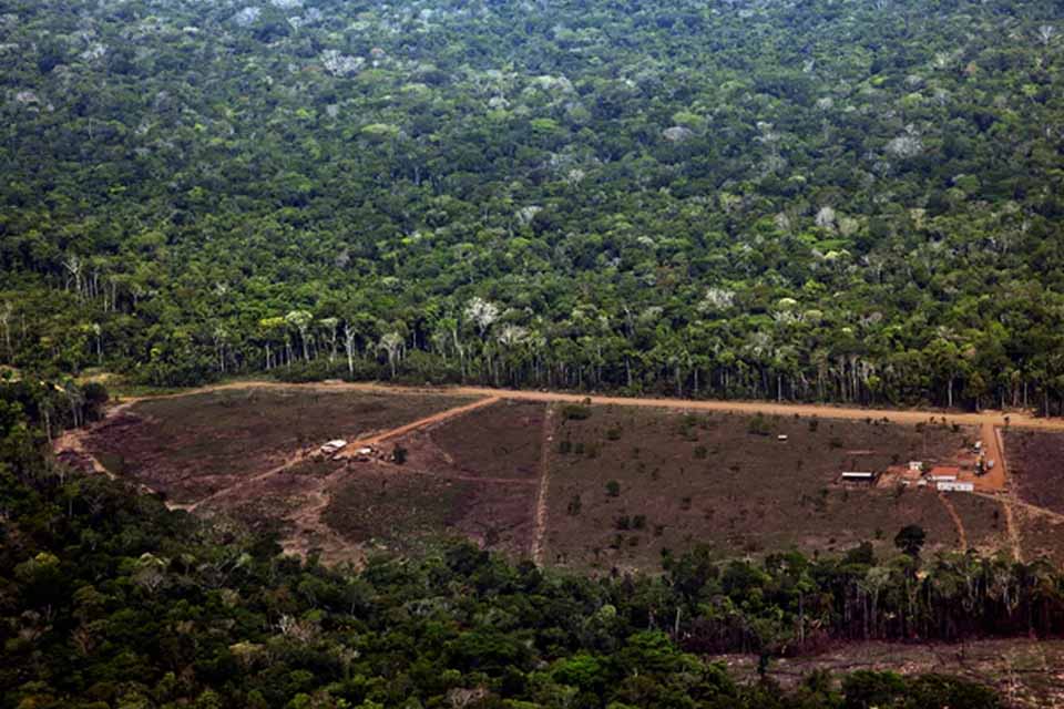 Rondônia é o quarto estado que mais desmatou a floresta amazônica nos últimos 12 anos; aumento de 11,4%