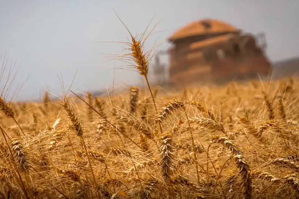 Conab prorroga inscrições para concurso até 20 de maio