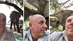 Homem tem encontro com elefante em acampamento 