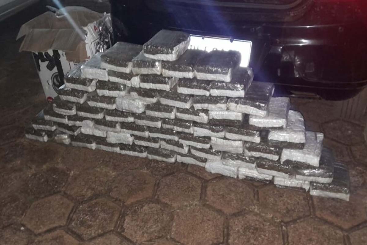  PM apreende cerca de 65 quilos de maconha e prende suspeitos em Nova Estrela