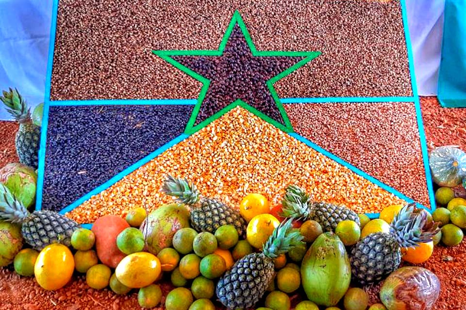 Investimento em máquinas e equipamentos impulsiona o agronegócio em Rondônia