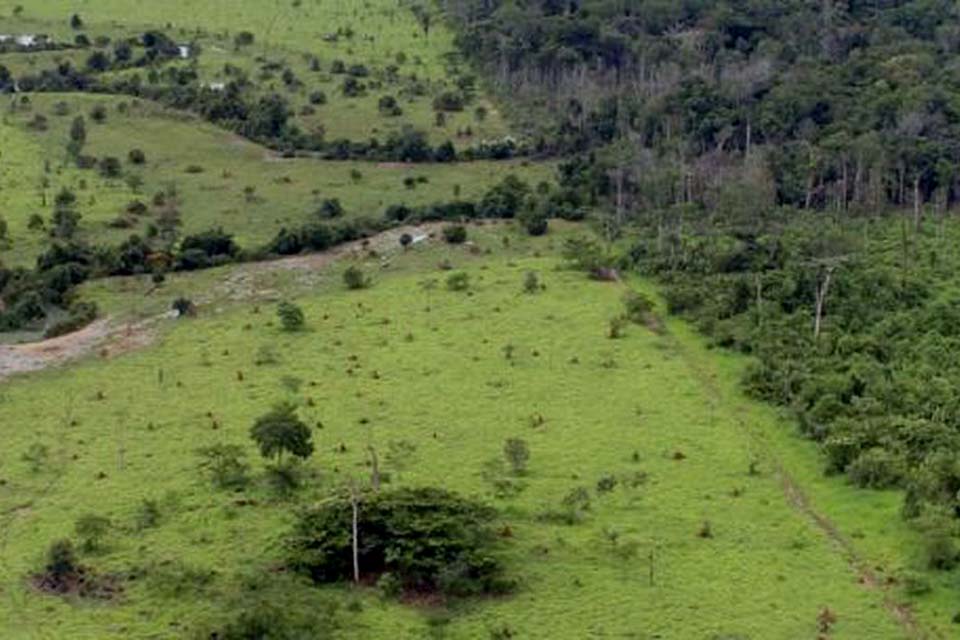 Proprietário rural pode emitir Certificado de Cadastro de Imóvel