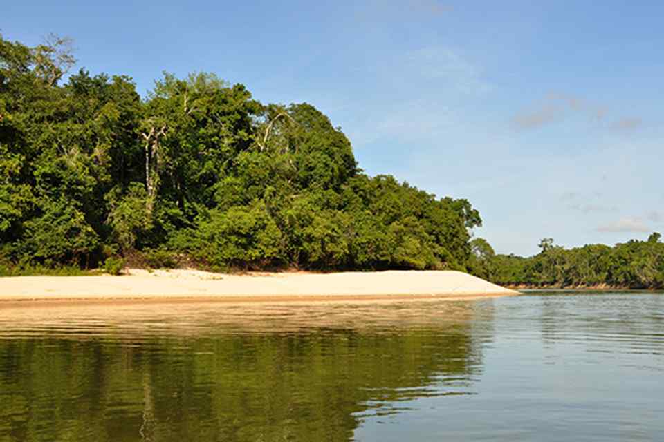 Projeto deve recuperar mais de 270 hectares na Reserva Extrativista Rio Preto Jacundá