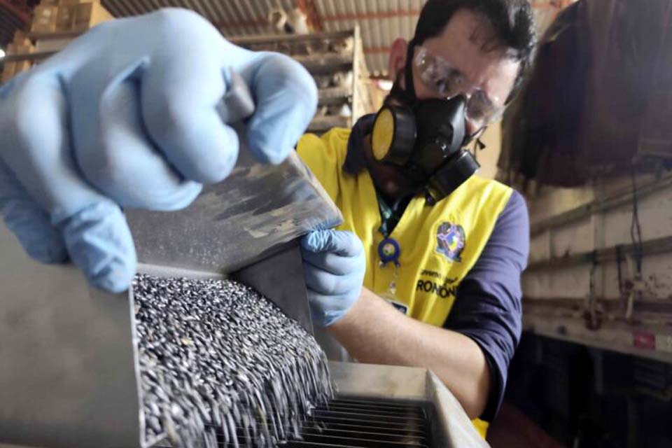 Fiscalização para combater fraudes na comercialização de sementes é intensificada pelo governo de Rondônia