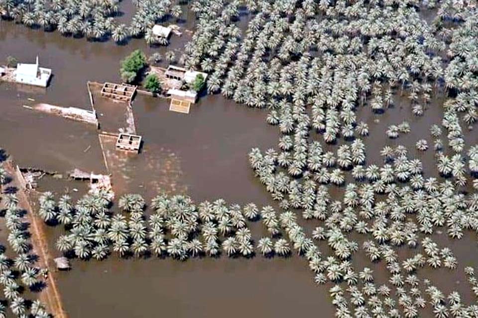 Vítimas de inundações no Paquistão vivem sob ameaças de escorpiões e saques