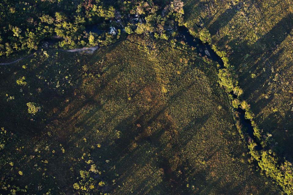 Desmatamento do Cerrado ameaça segurança hídrica de todo o Brasil