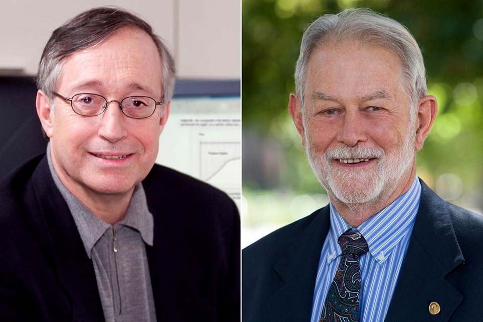 Paul Milgrom e Robert Wilson ganham Nobel de Economia 2020