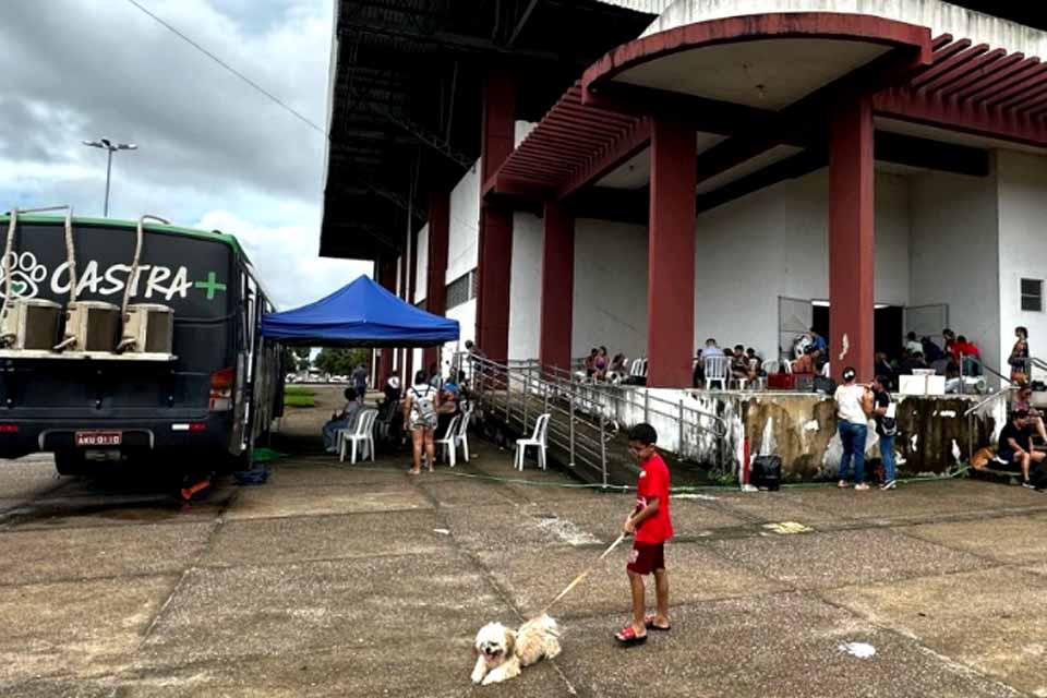 Projeto Castra+Rondônia realiza castrações gratuitas no Ginásio Cláudio Coutinho em Porto Velho