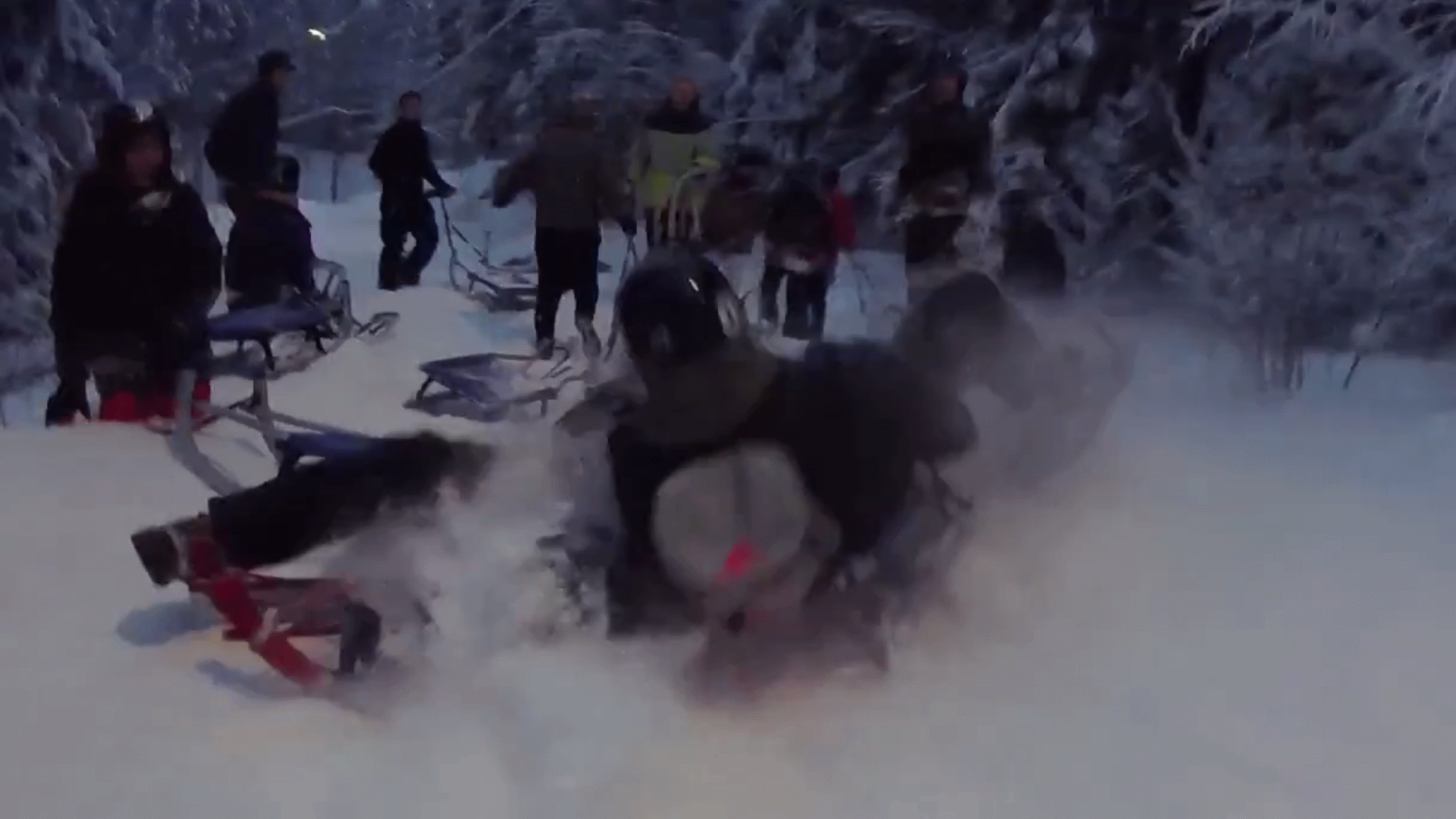 Acidente de trenó hilário é filmado na Noruega