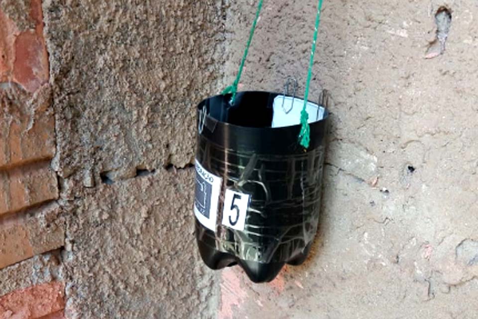 Aplicativo para smartphone é utilizado na vigilância do mosquito Aedes aegypti, em Rondônia